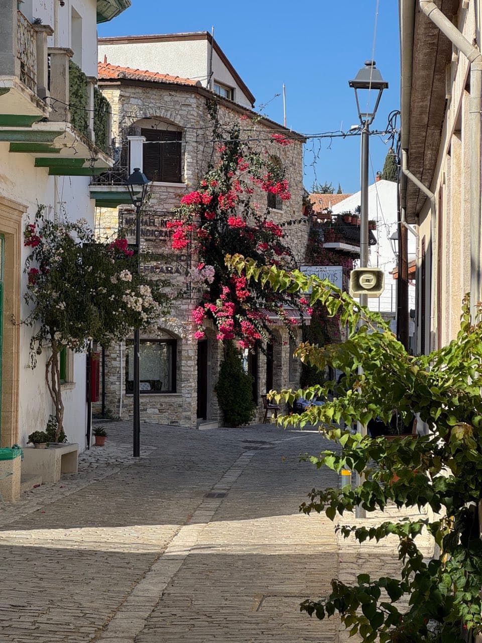 Cobblestone alley with pink bougainvillea on stone buildings and ornate streetlamp