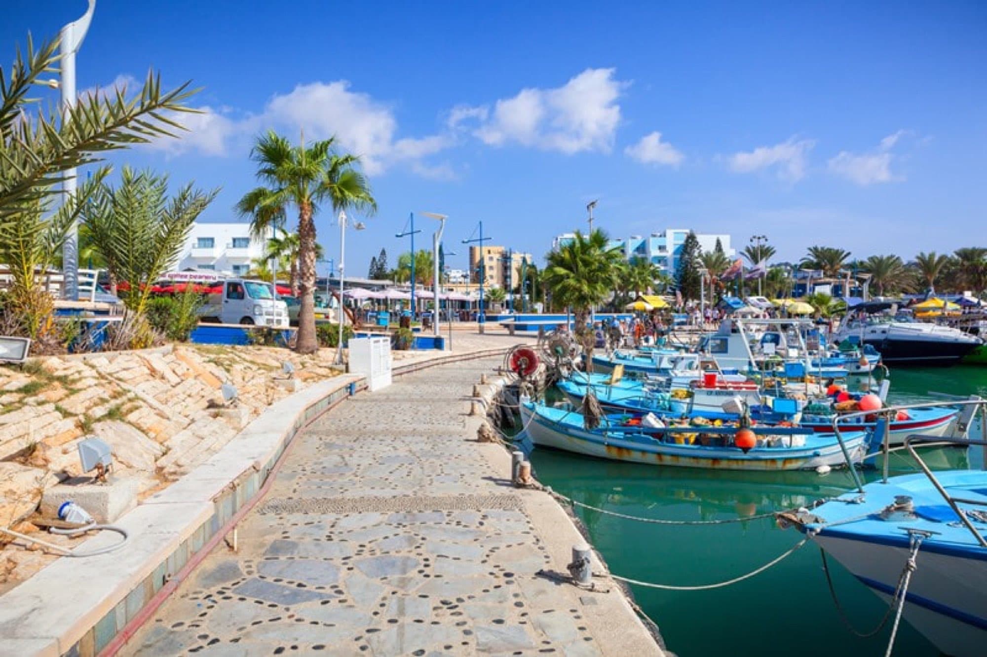 Blue fishing boats moored along the harbour promenade lined with palm trees
